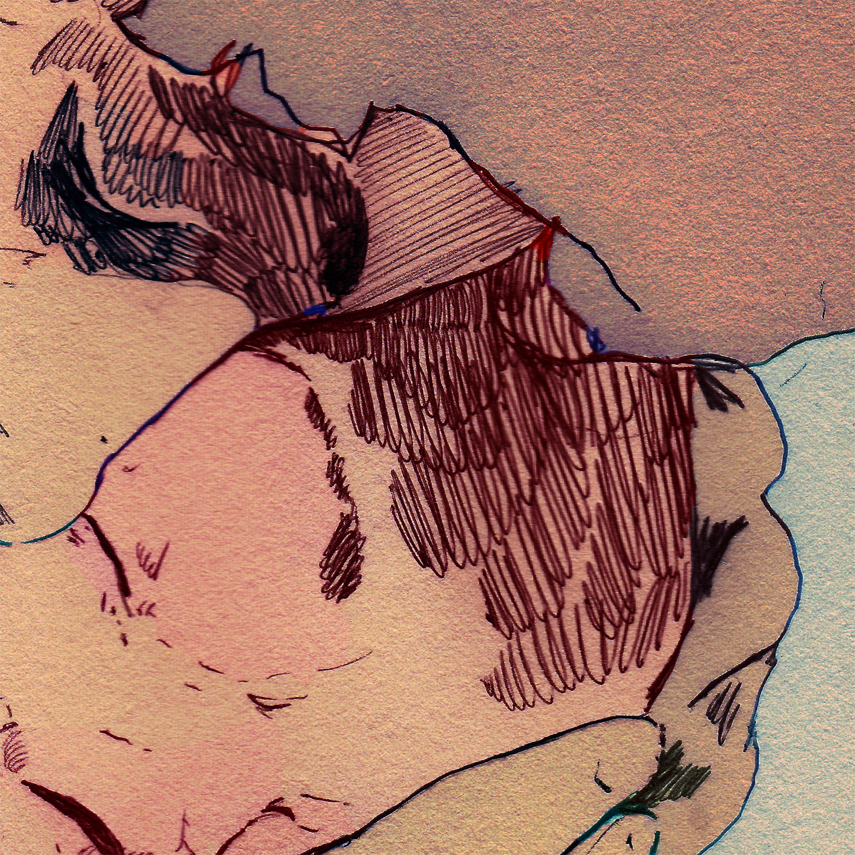 Aris Kindt - Now Claims My Timid Heart