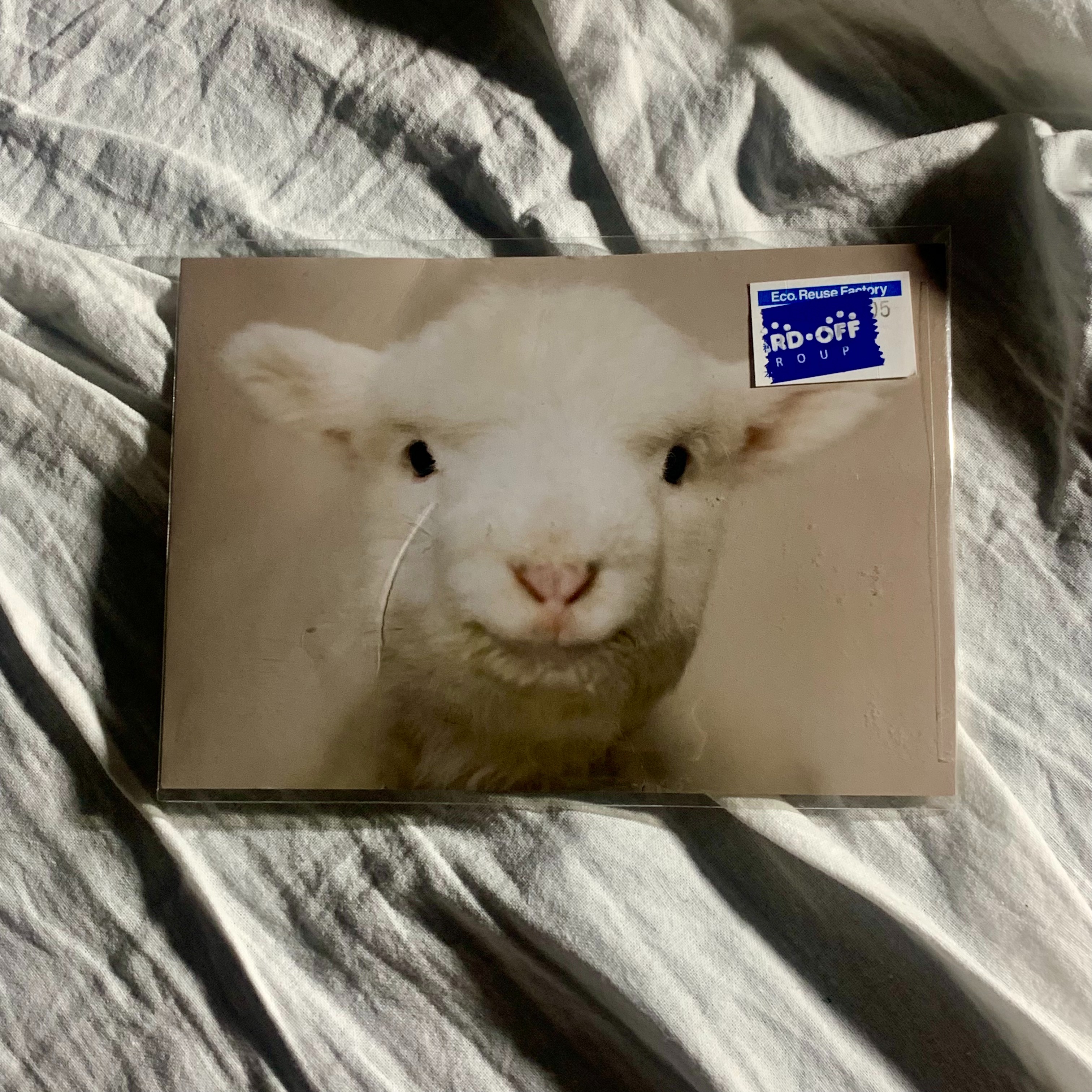 seaketa - Excessive Relaxation