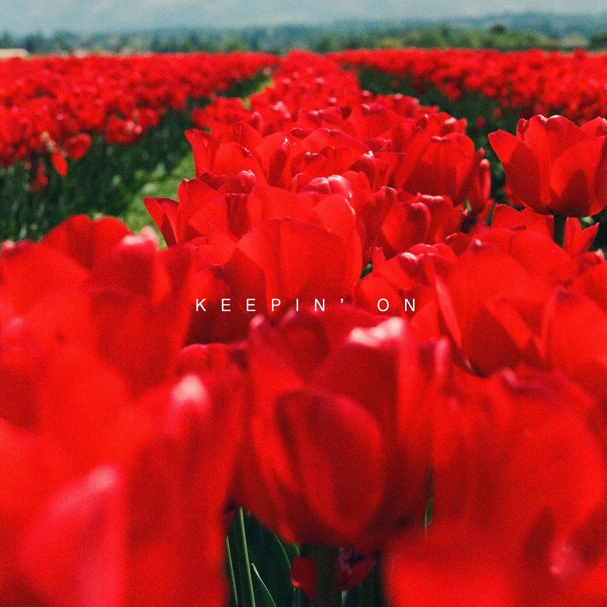 La Bonte - Keepin' On