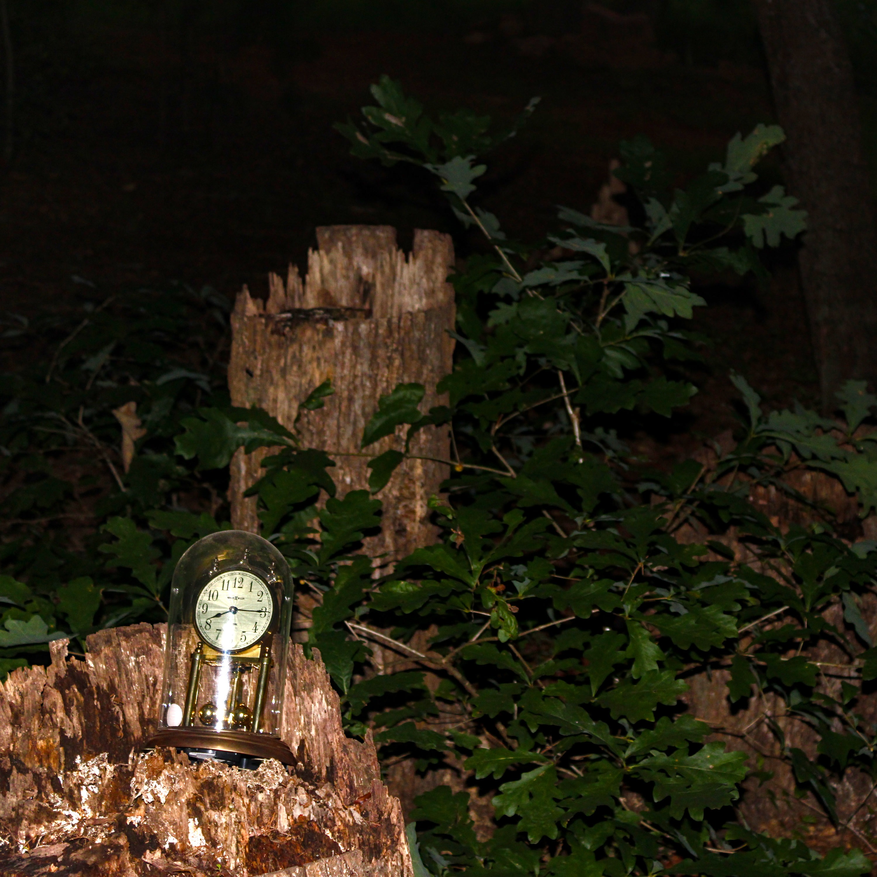 Dead Links - Turn! Turn! Turn! (feat. Jenny Spiders)