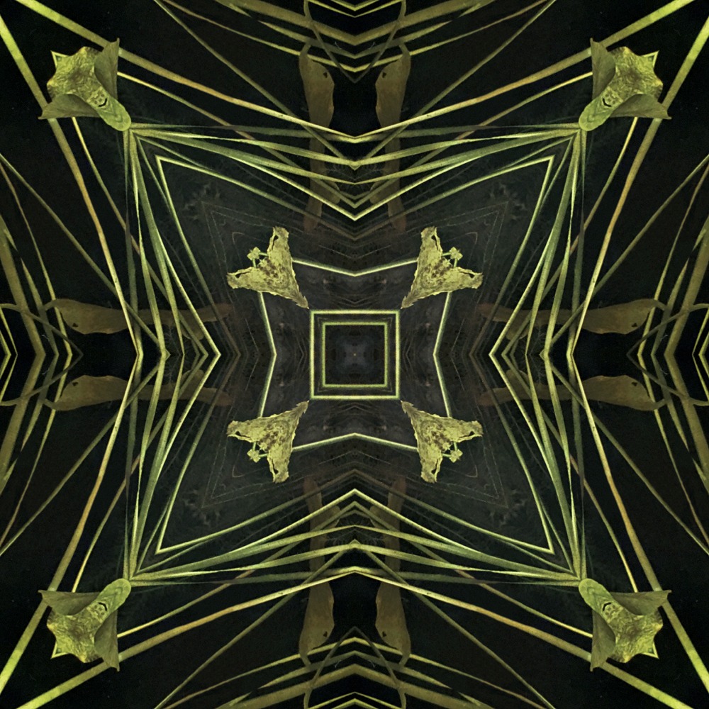 Elton Vincent - □♢□