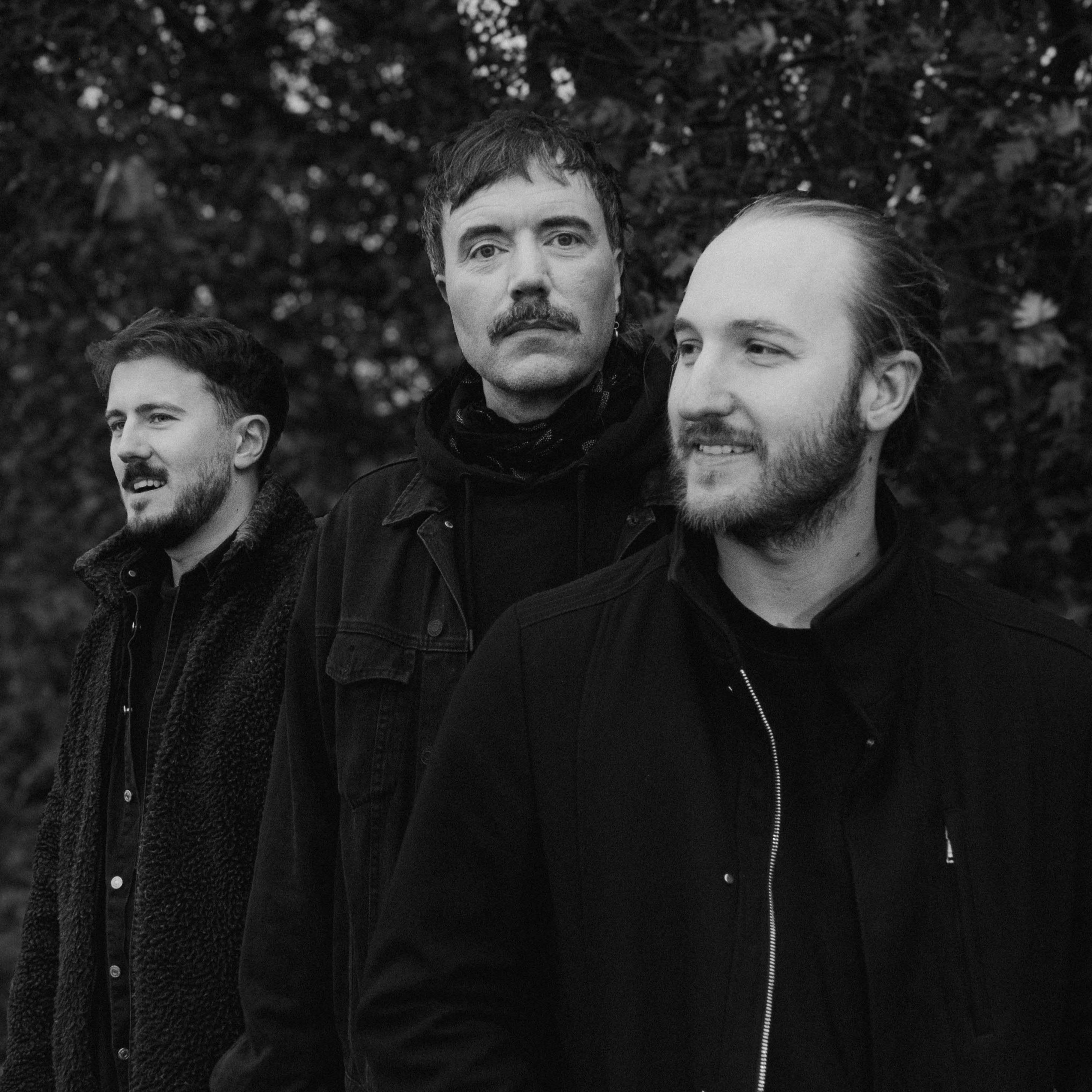 Vitön Bearings Demo