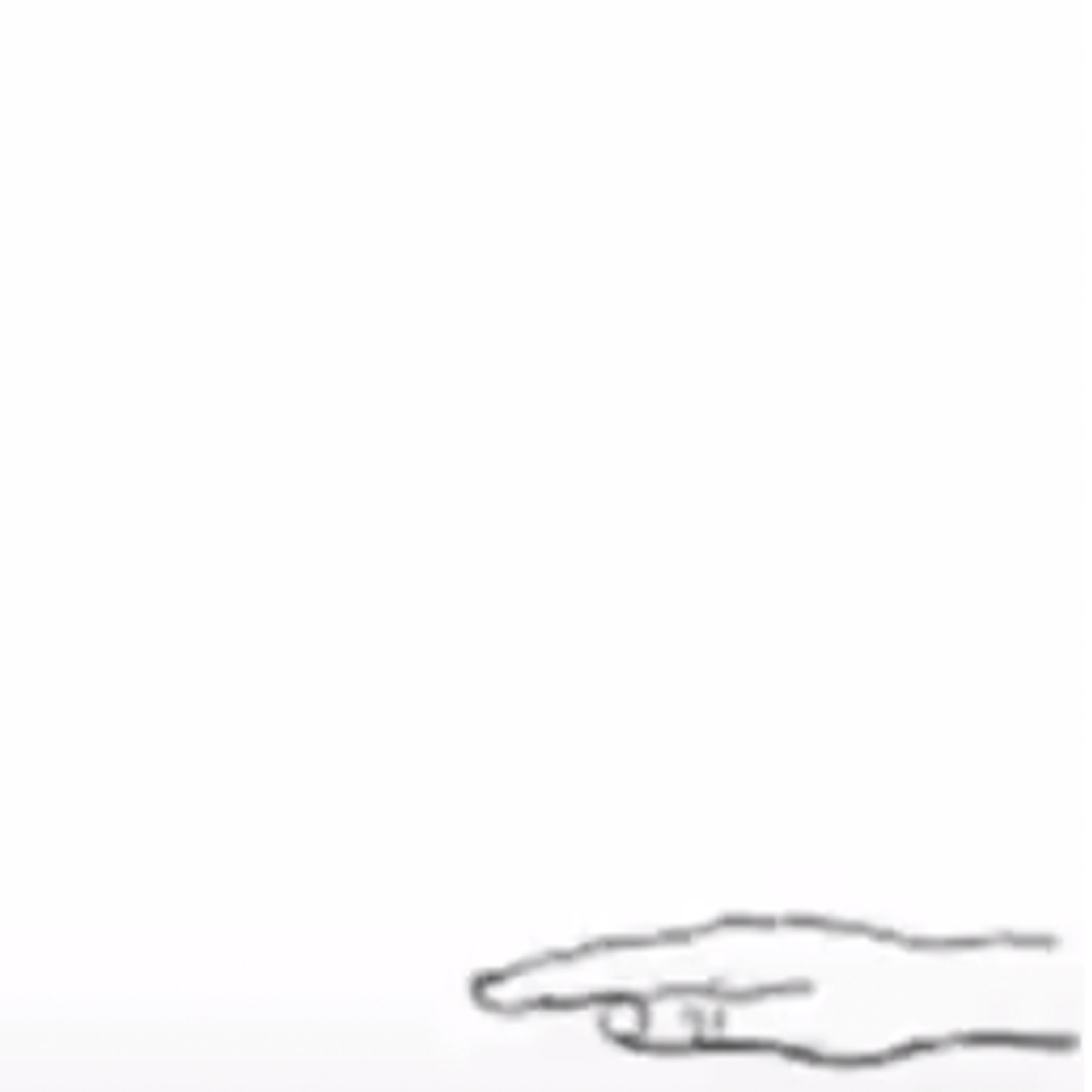 Birdfeeder - A ceremonial display