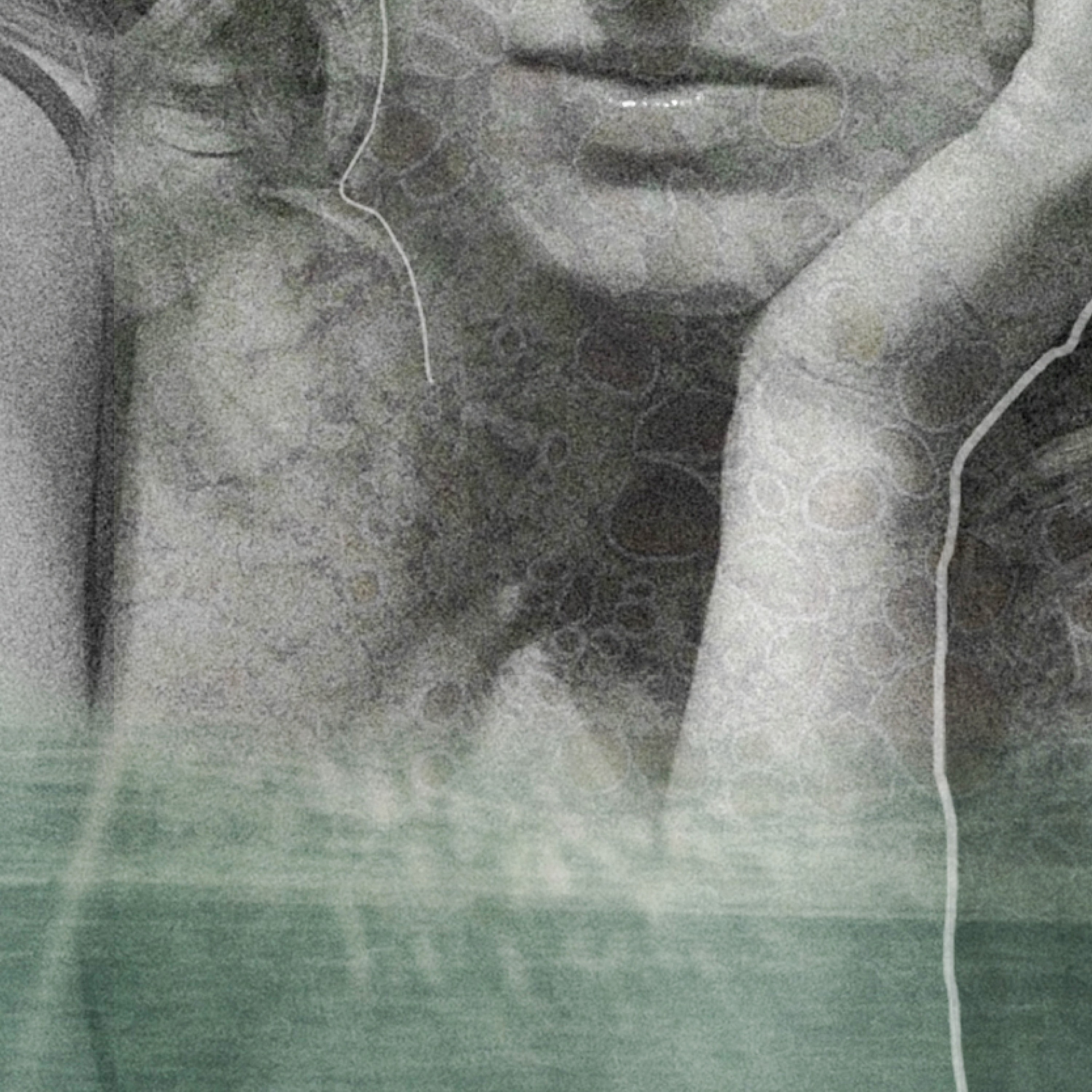 Louise Weseth - Squares and Fences