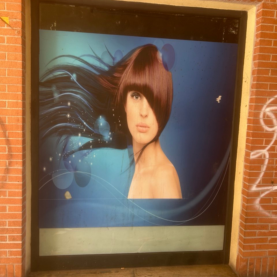 champagne doves x children - blend