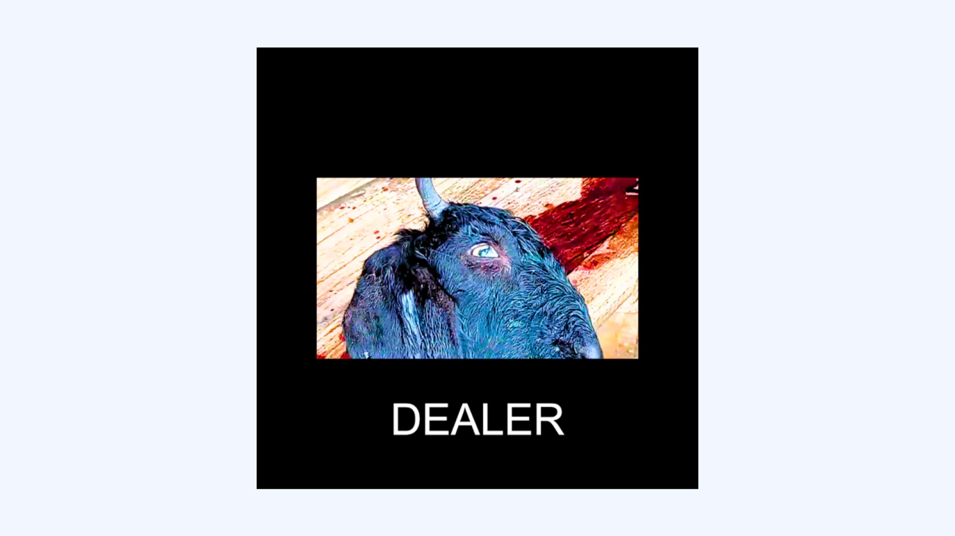 Grant Chapman - Dealer