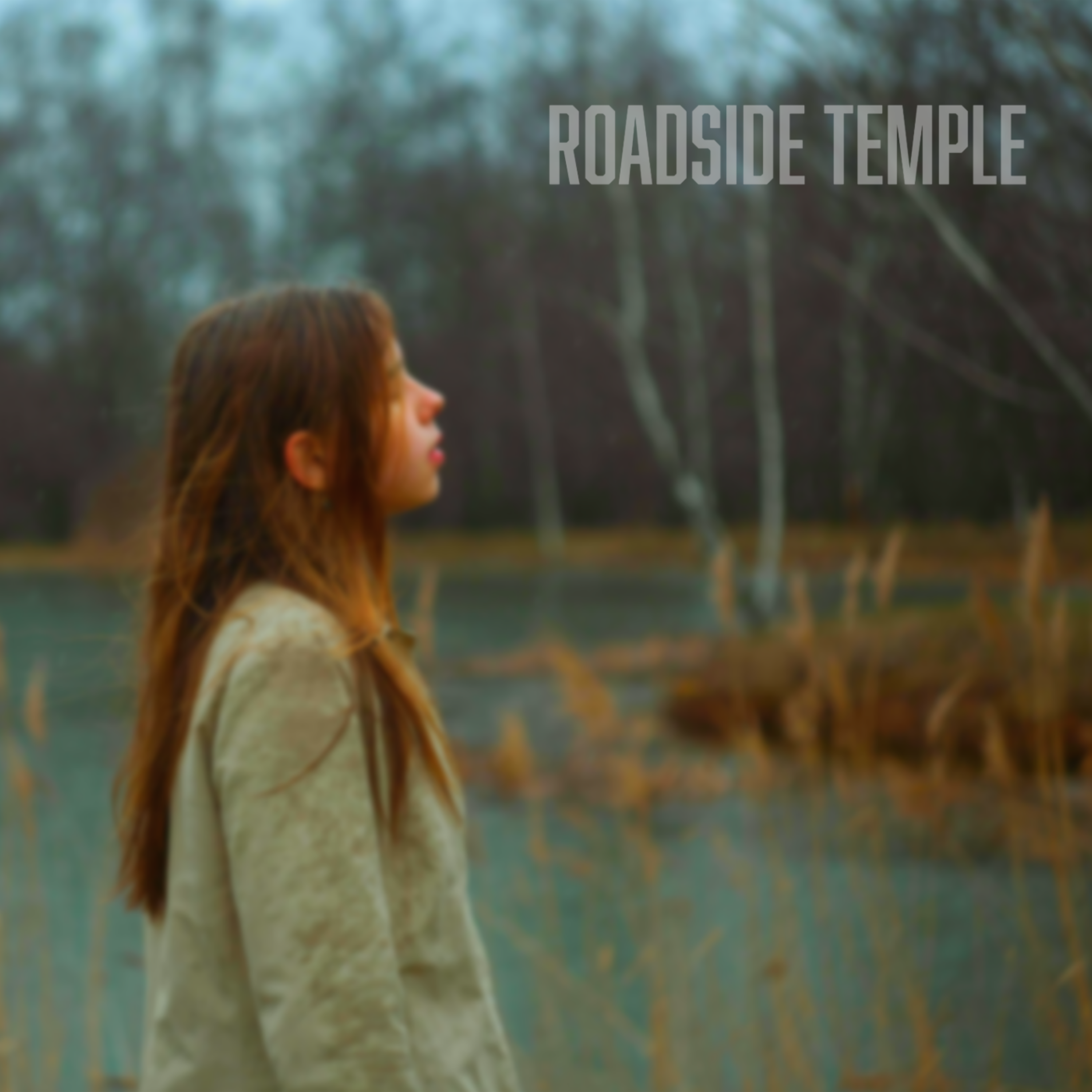 Roadside Temple - We Daydream In Sync