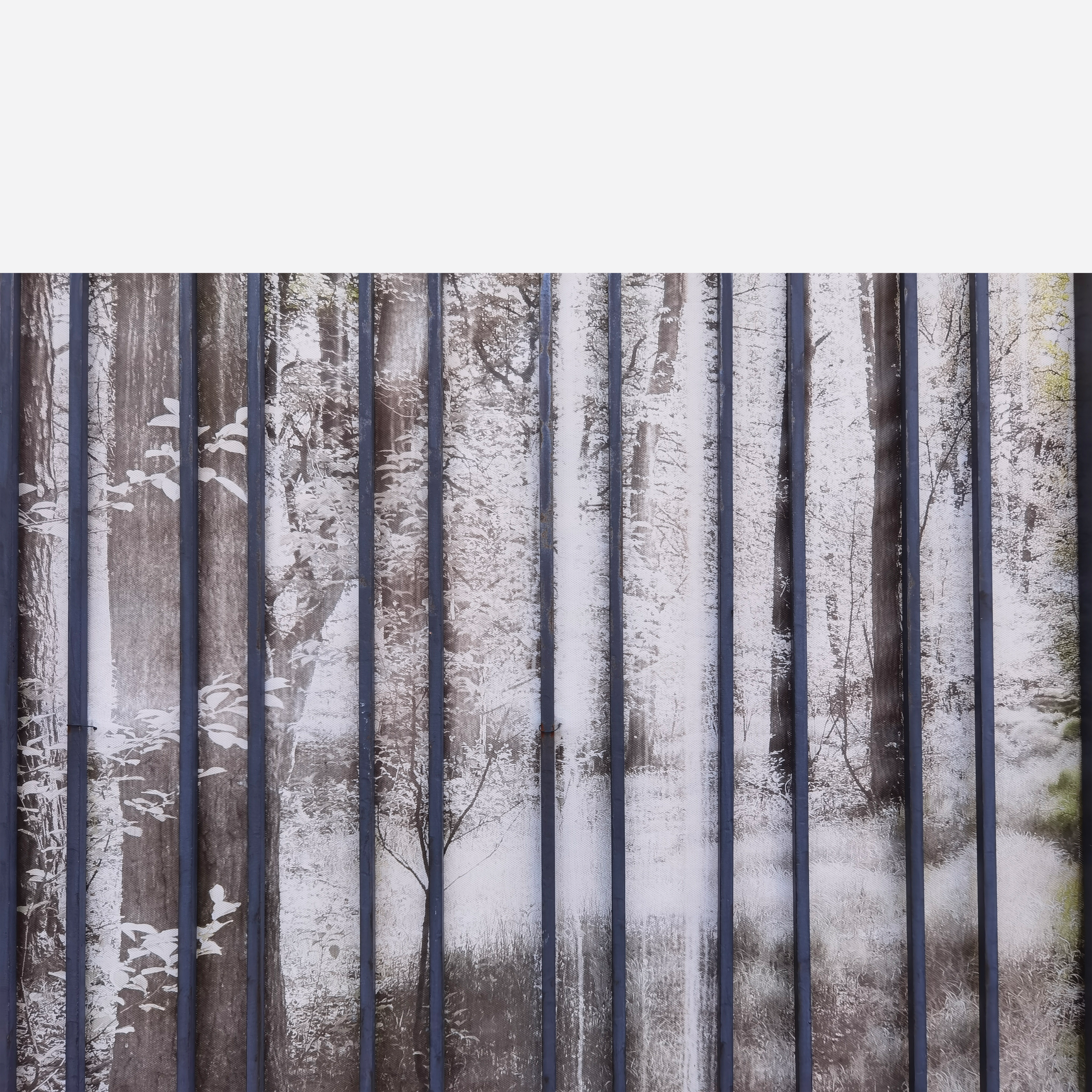 suzi simonei - Fool I know