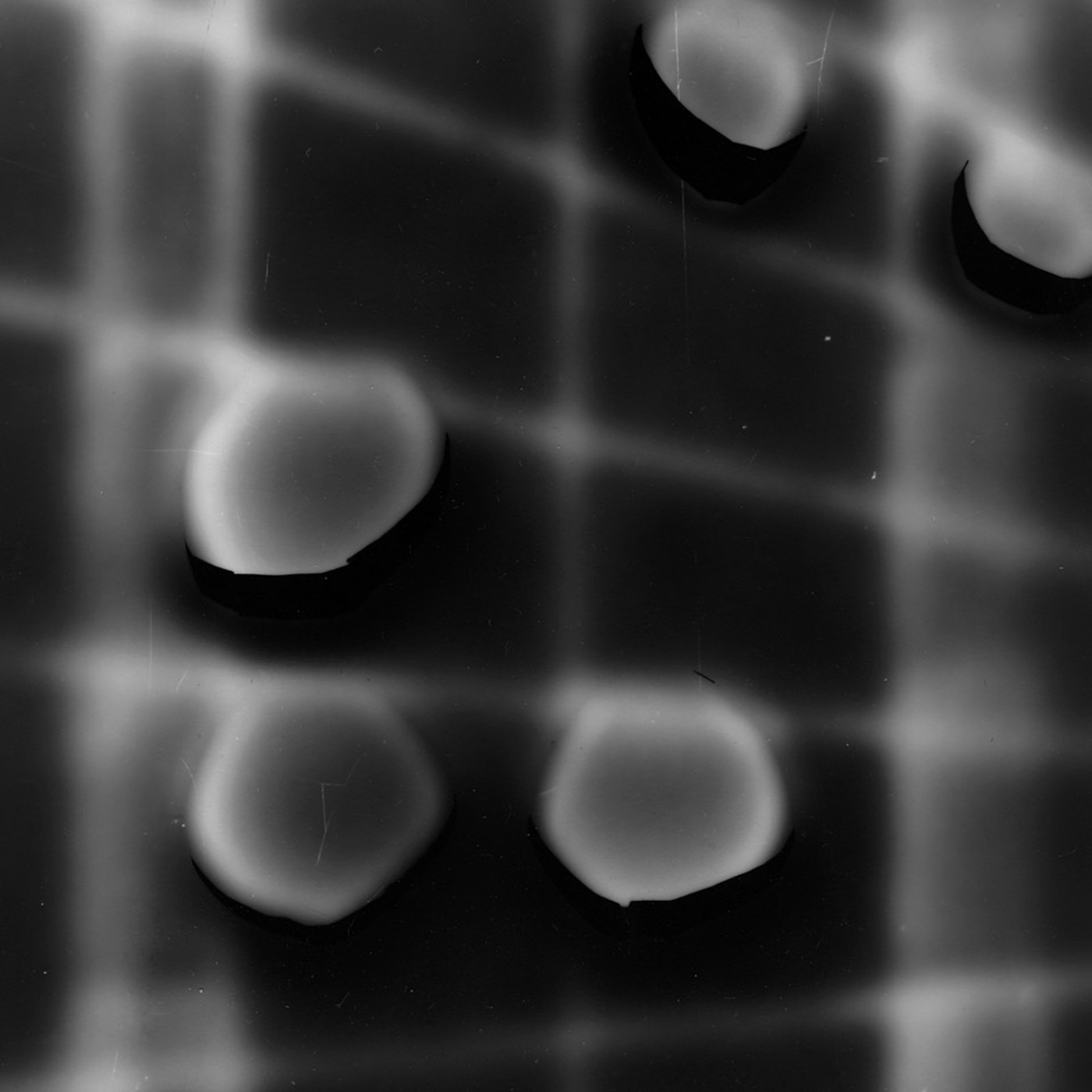 Emily Wittbrodt - Wearing Words