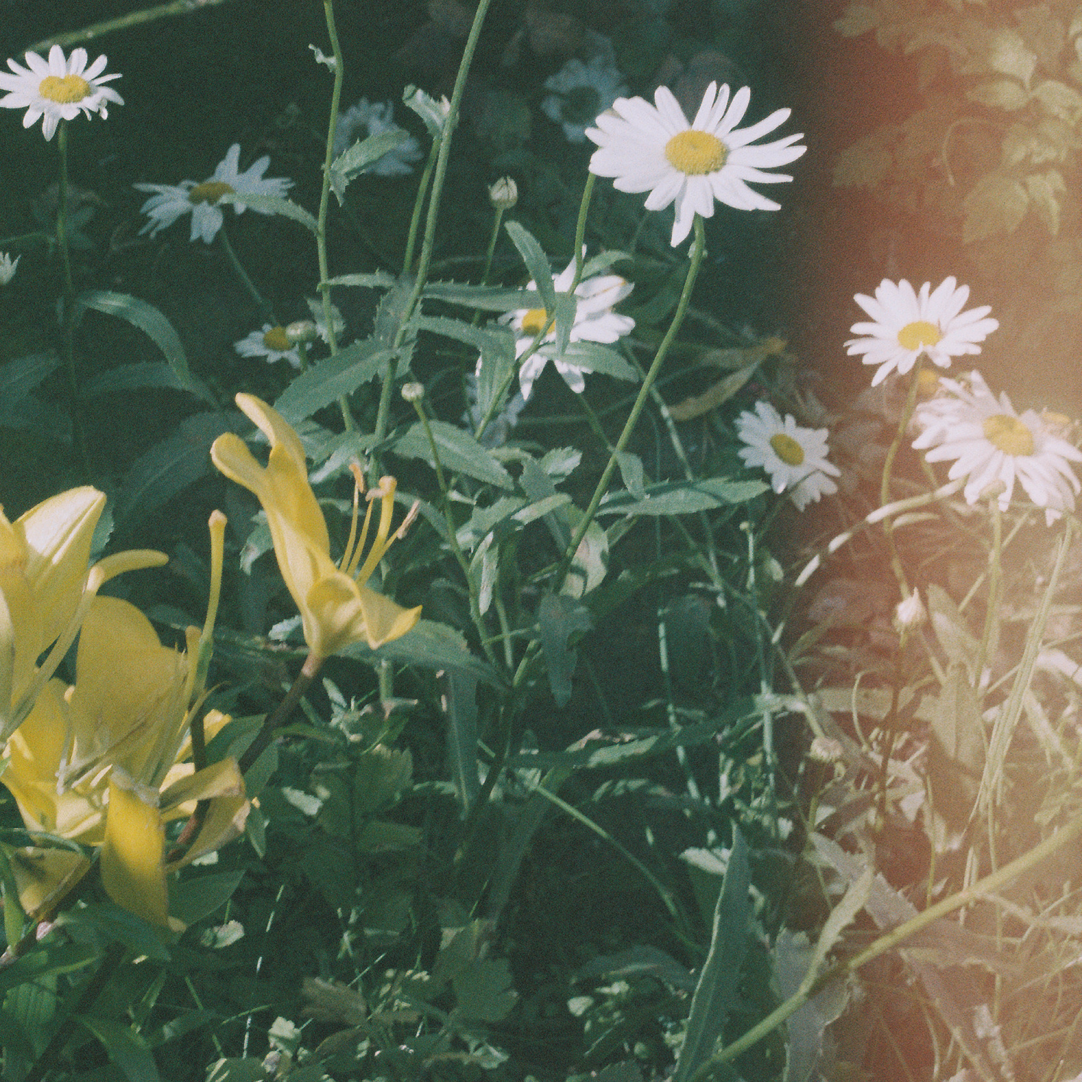 Croatian Amor - Colours ft. Alto Aria 