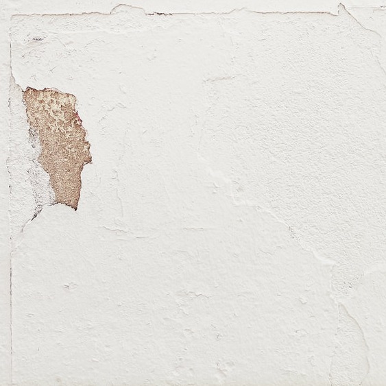 Purpurniy Dyadya - Arax