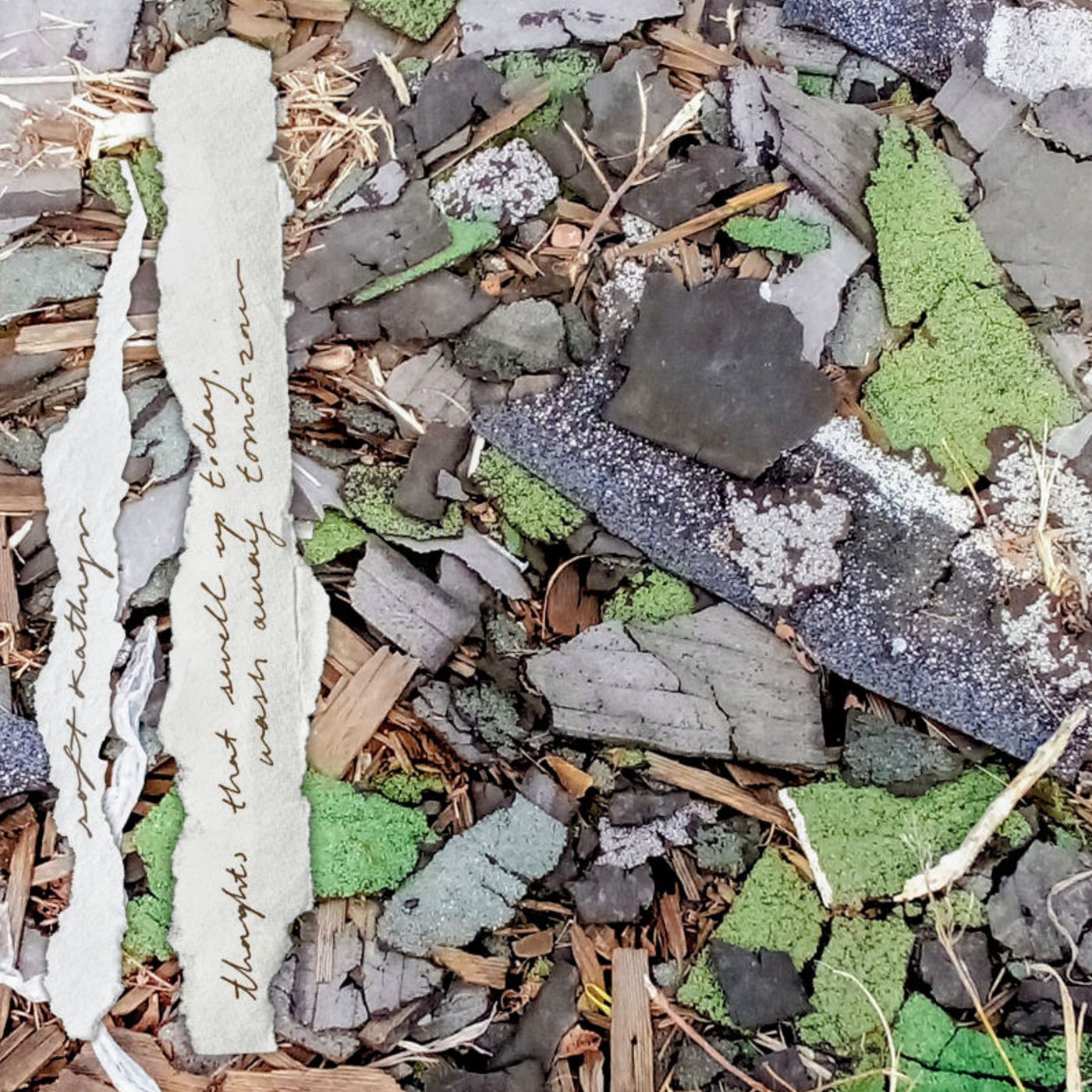 soft kathryn - thoughts that swell up today, wash away tomorrow