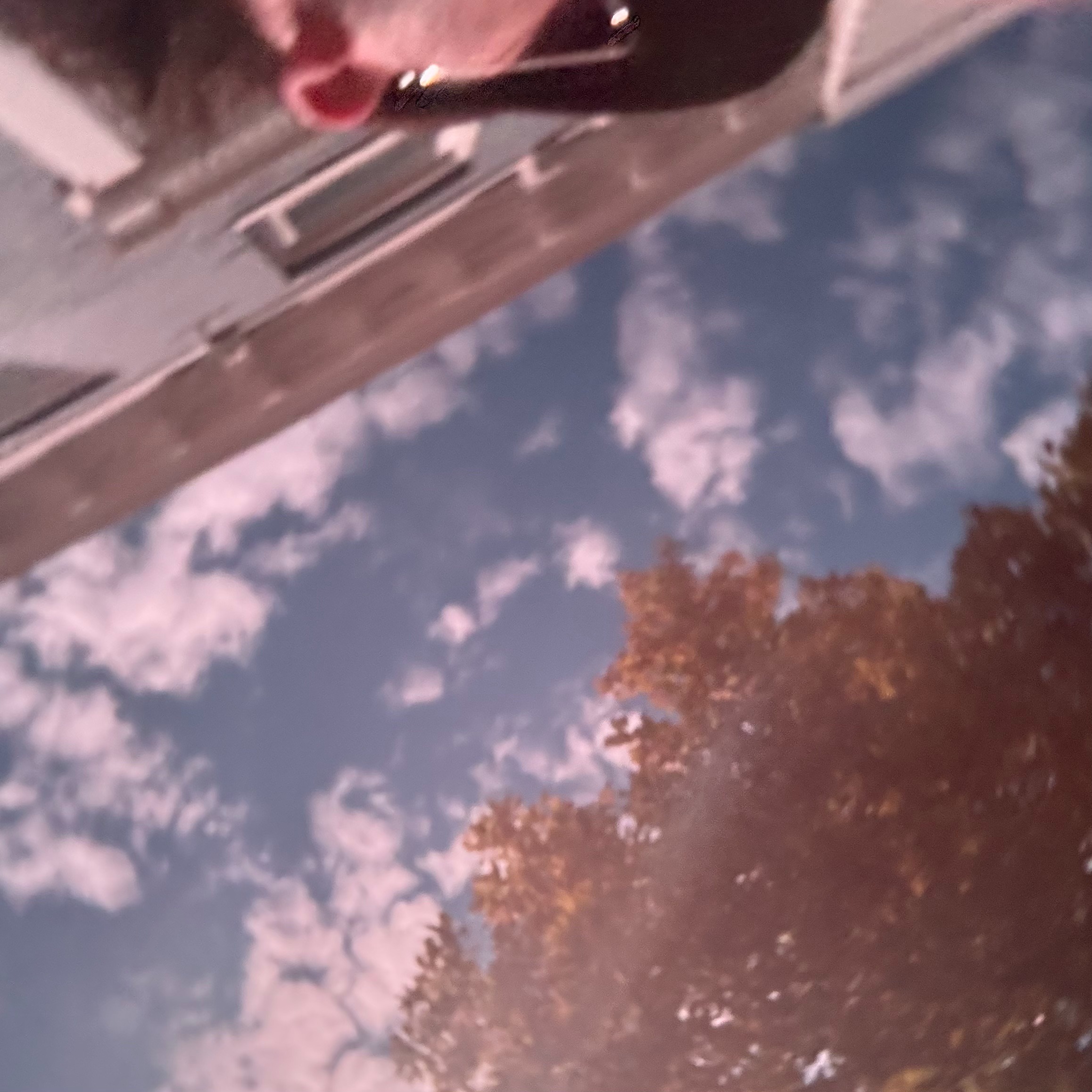 OTTO MOSS - Sweatshirt, Melancholy