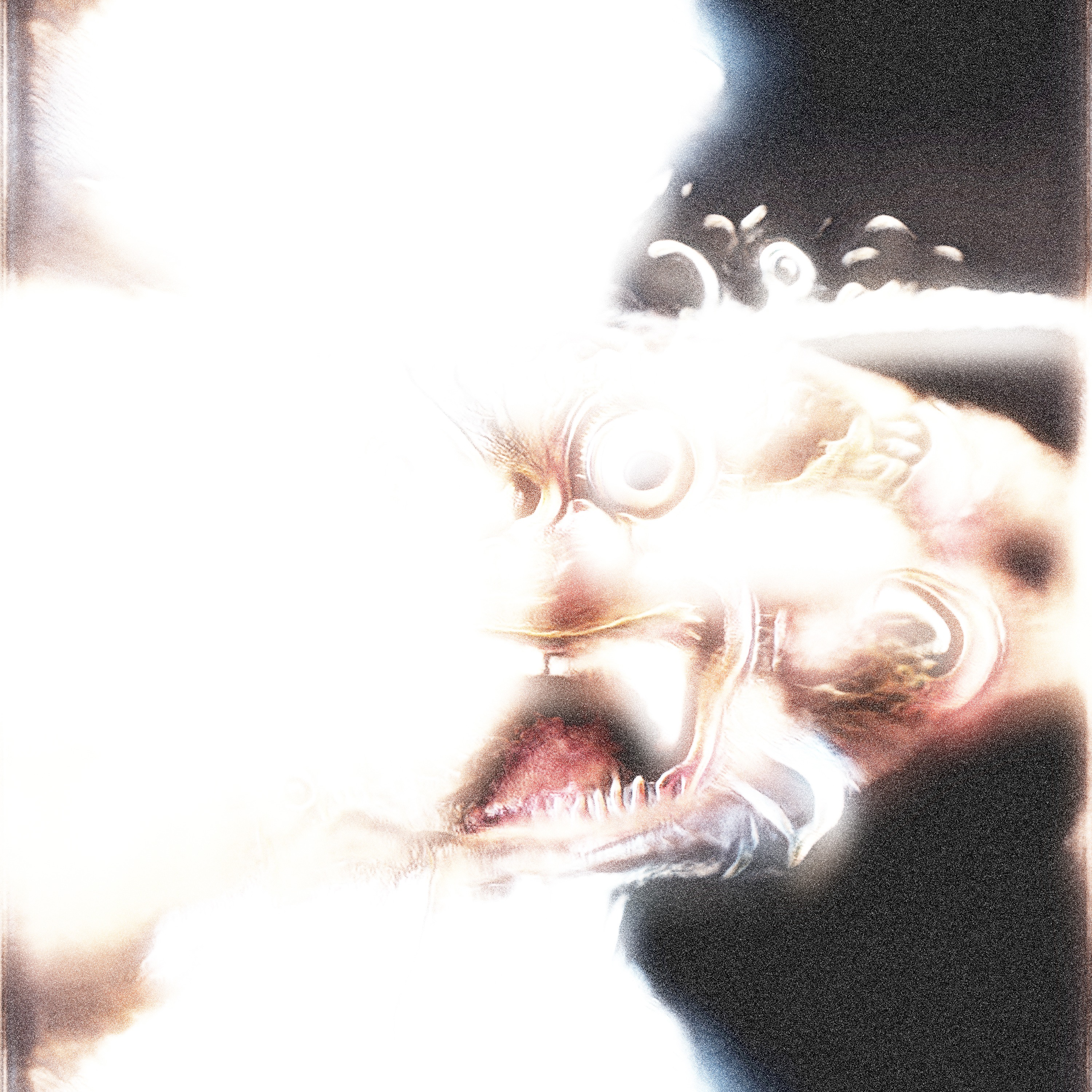 BAERK. - TOO EMOTIONAL