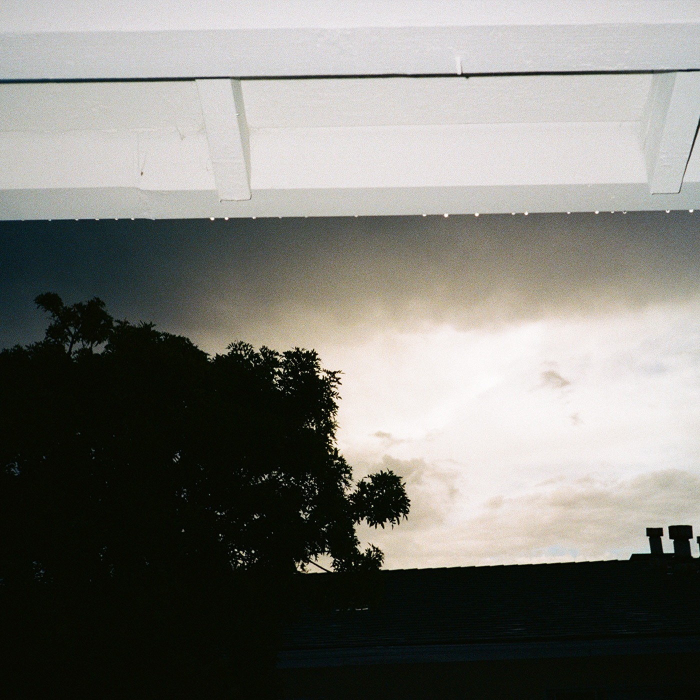 MyVeronica- Katy Song