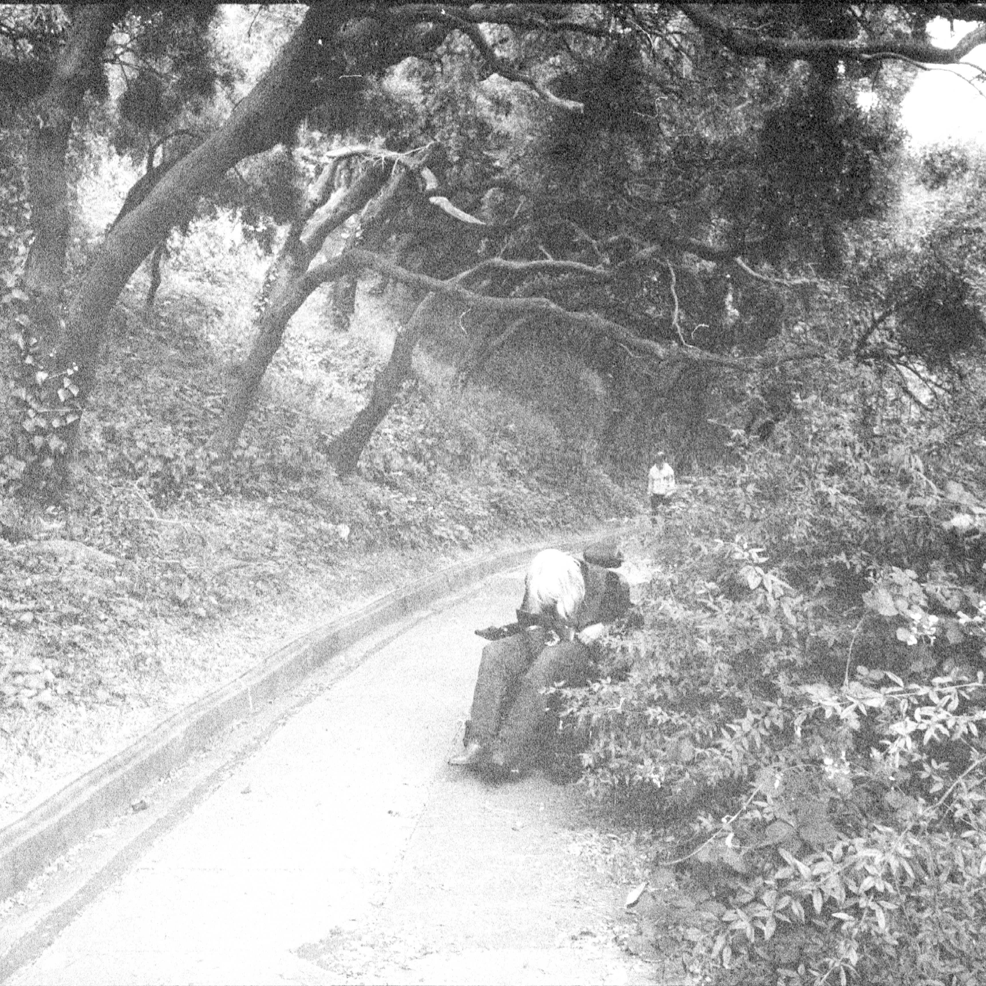 Rainbow Valley - On The Fringes Of Fear & Excitement