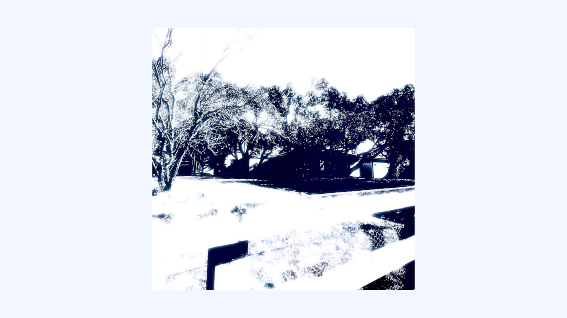 plinks - til life do us part