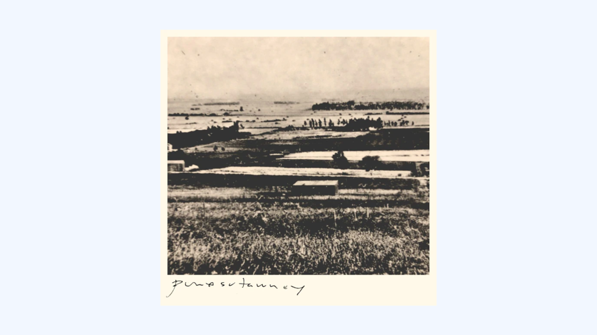 Punxsutawney - Untitled