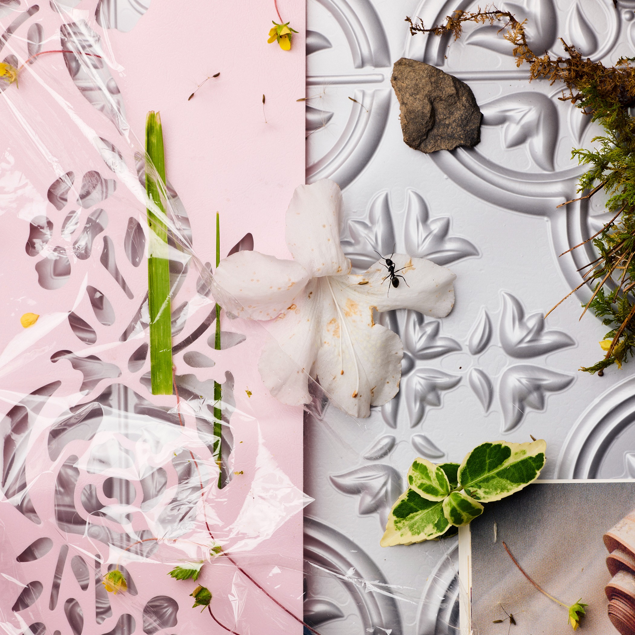 Ira Vail - 8 Songs for Late Earth