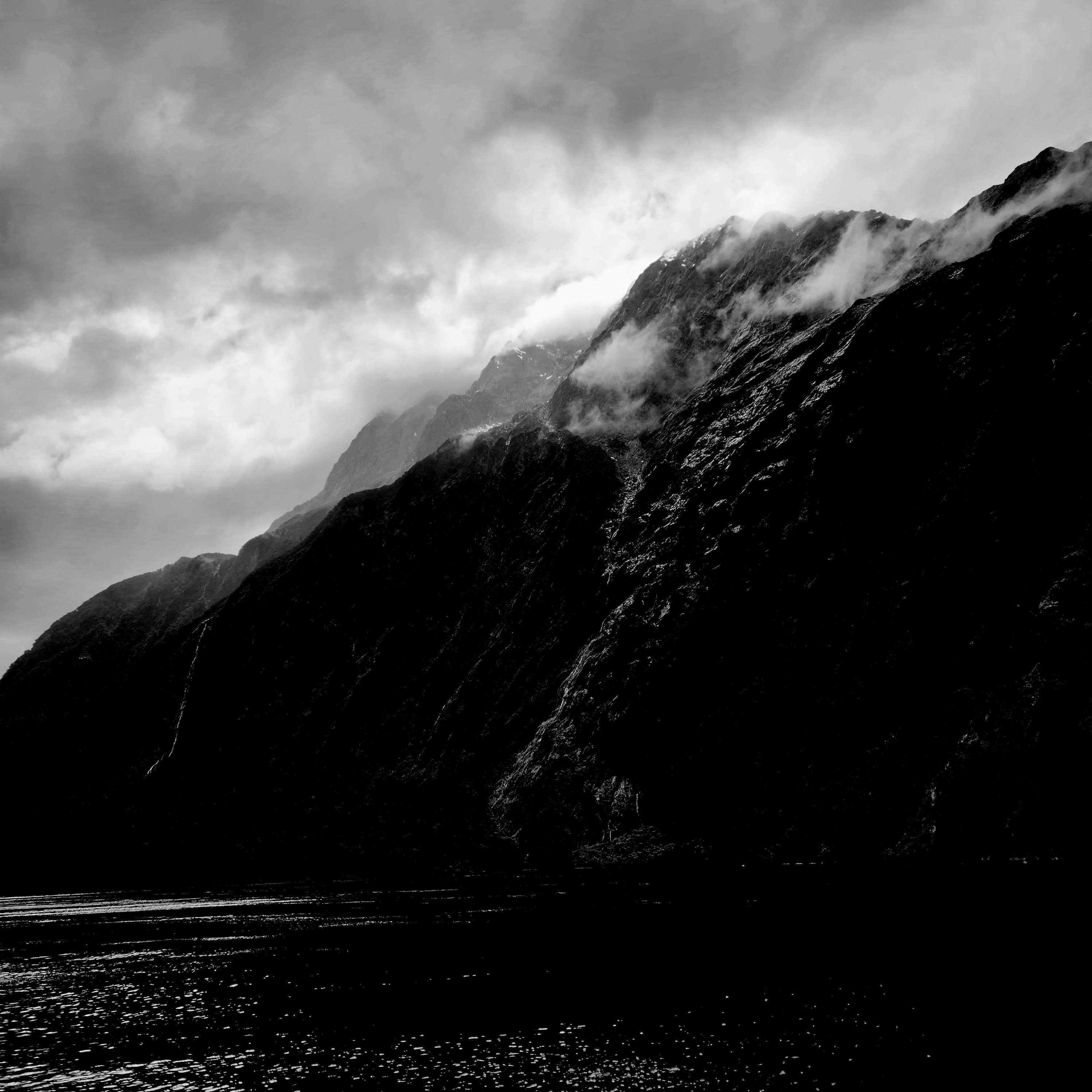 Toluene Dream - Champion