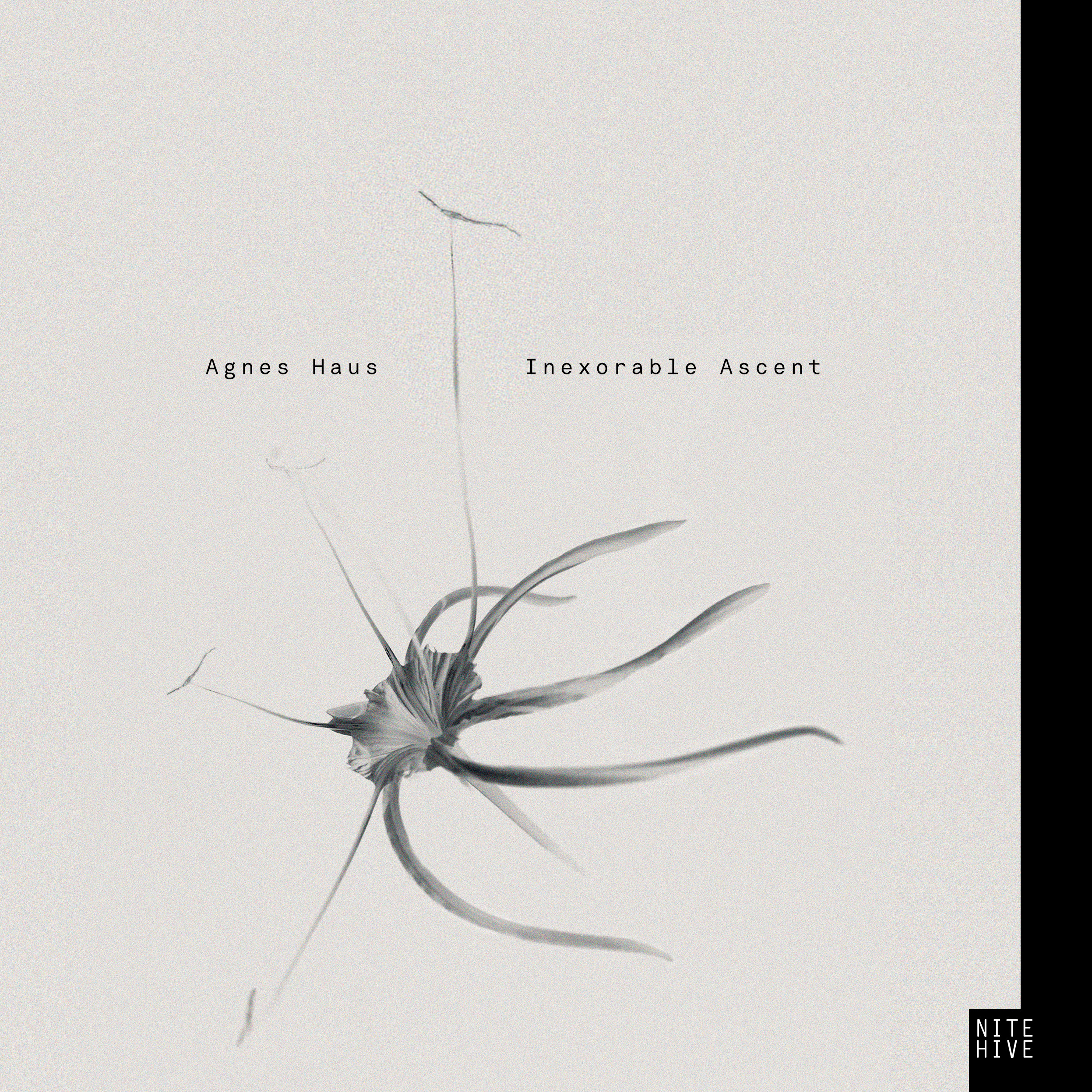 Agnes Haus - Inexorable Ascent