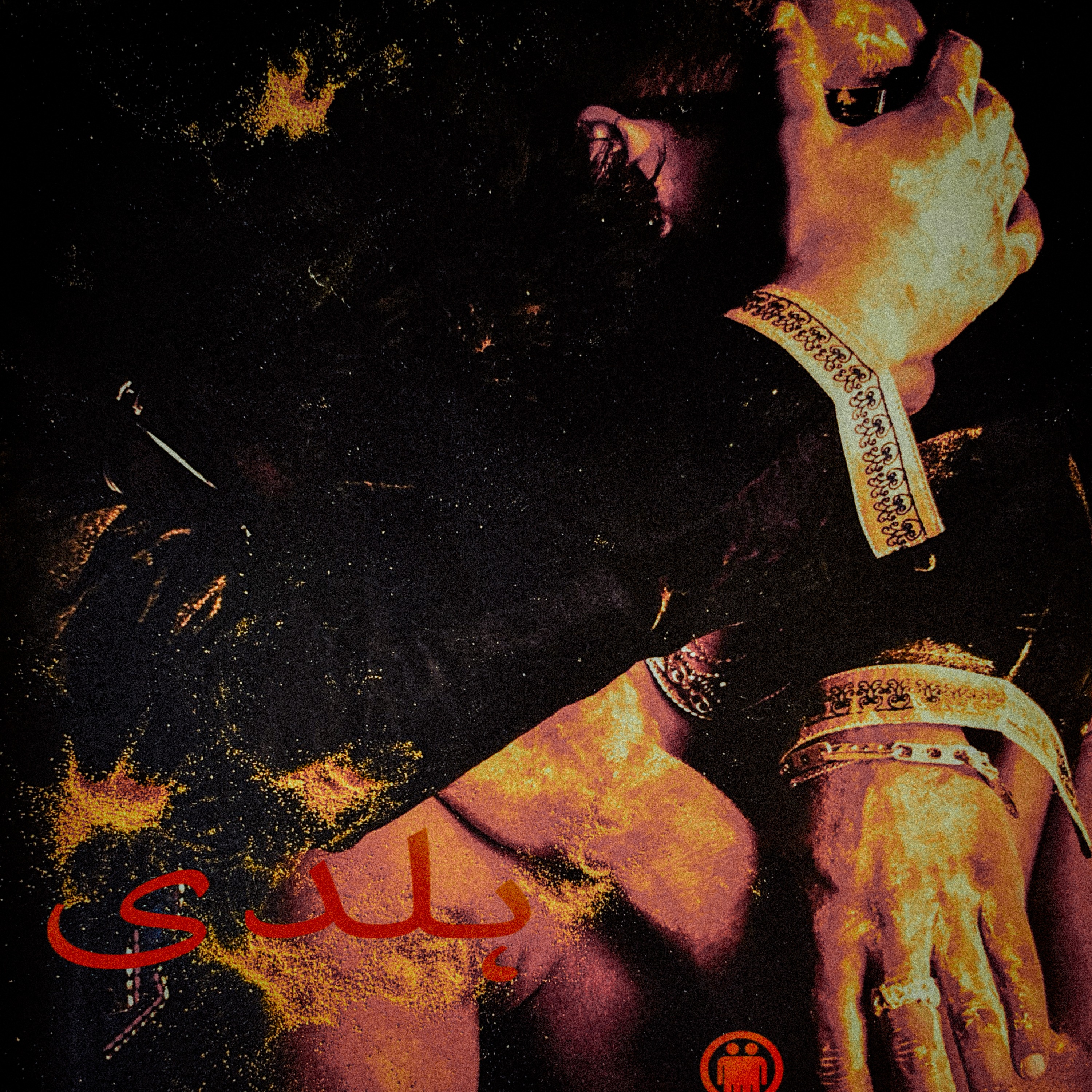 The Twins - TURMERIC