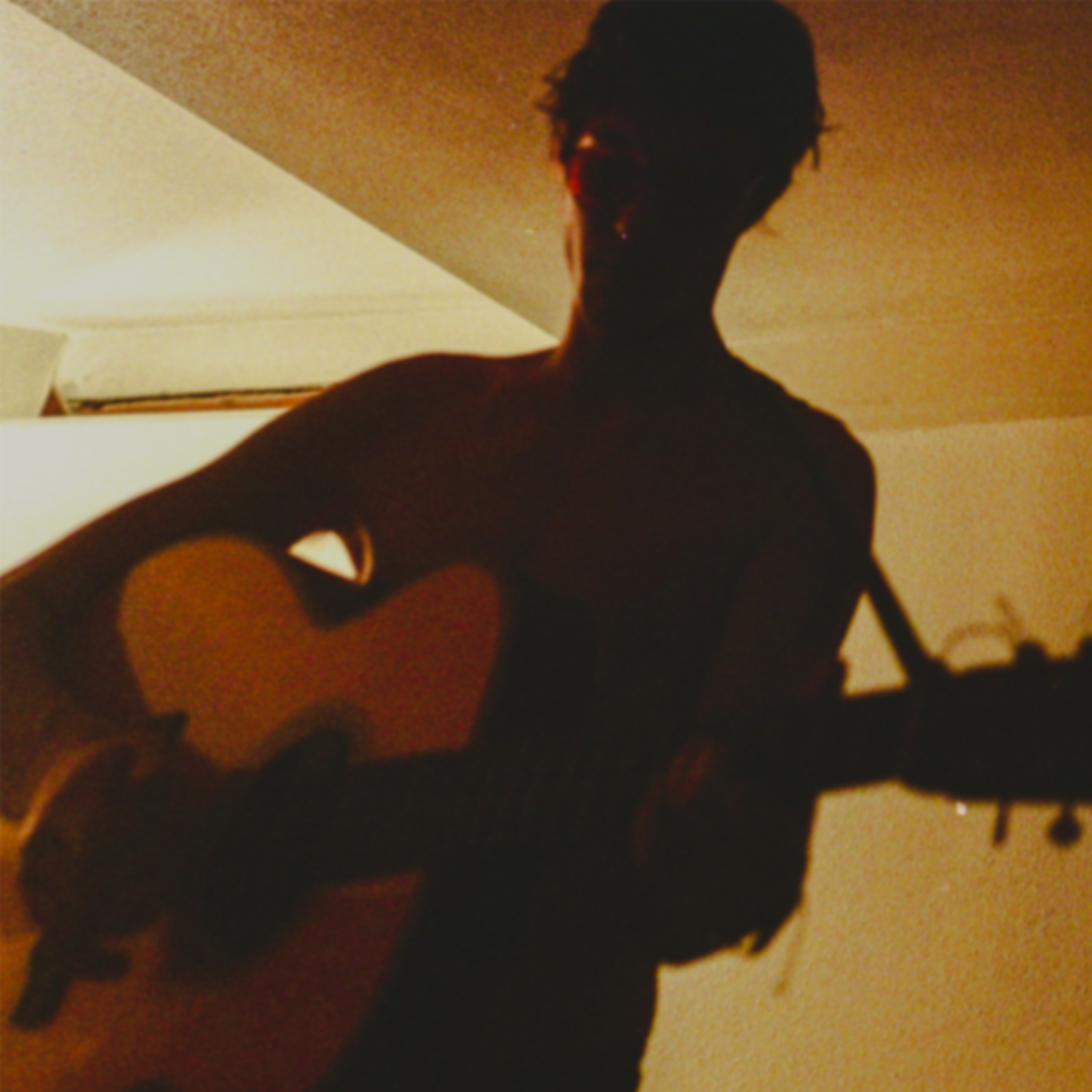 Whyburn - Fish Piece