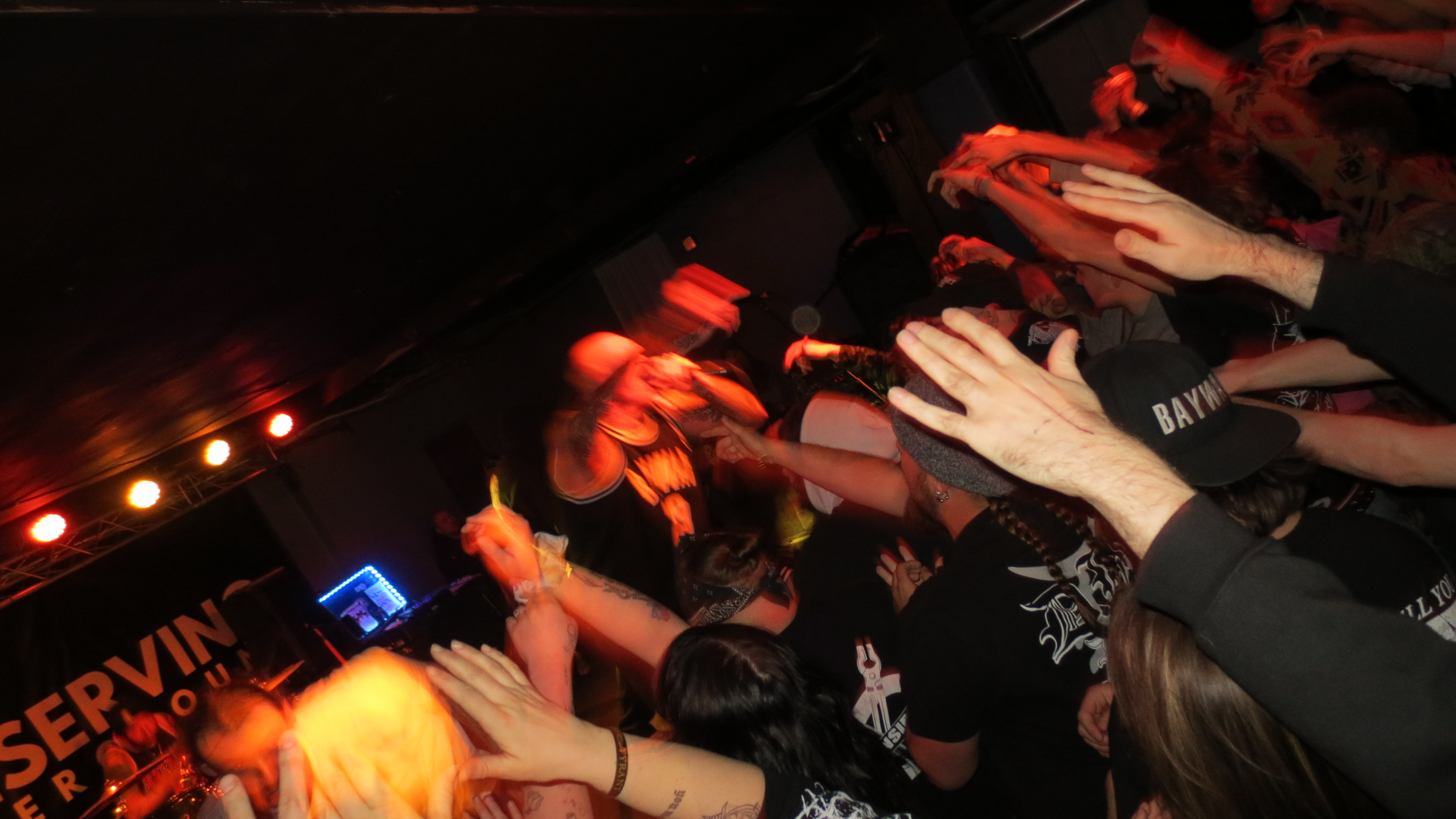 If you're gonna be dumb you gotta be tough